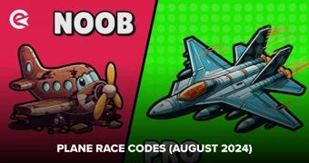 Plane Race Codes